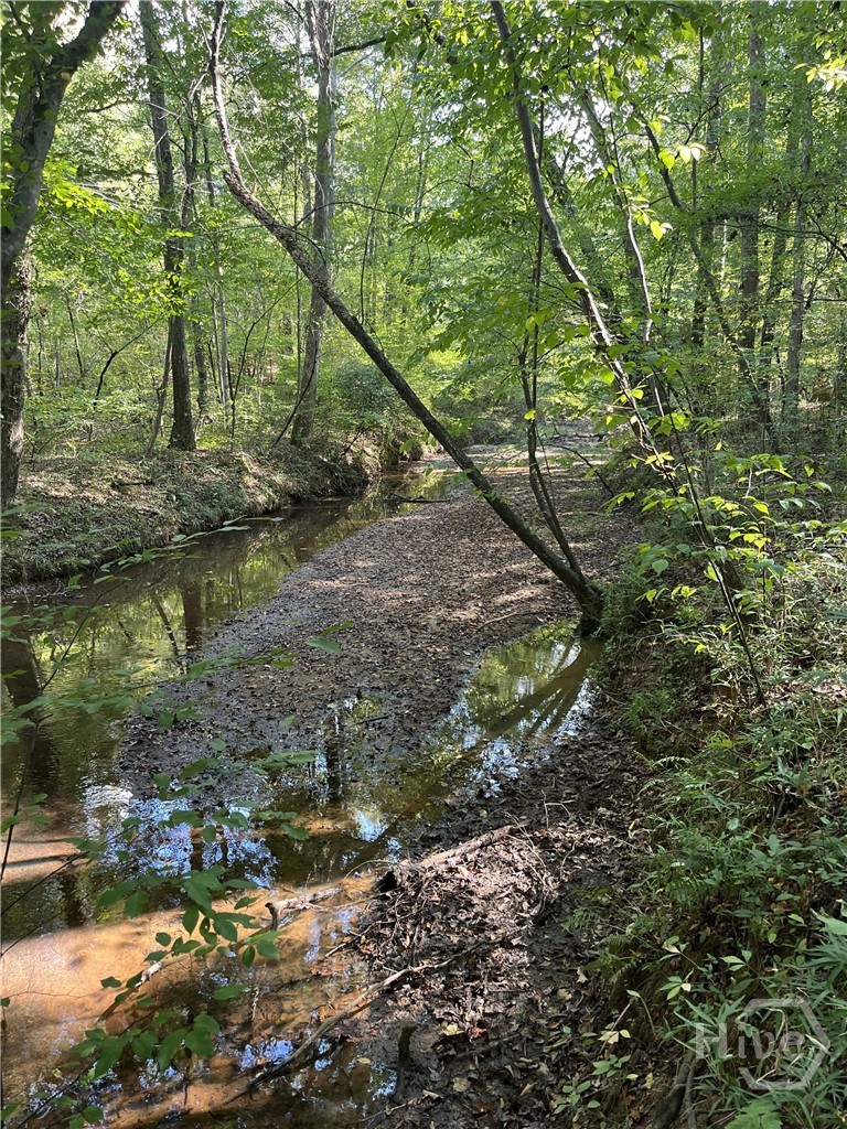 46 Creek Ridge Property Photo 4