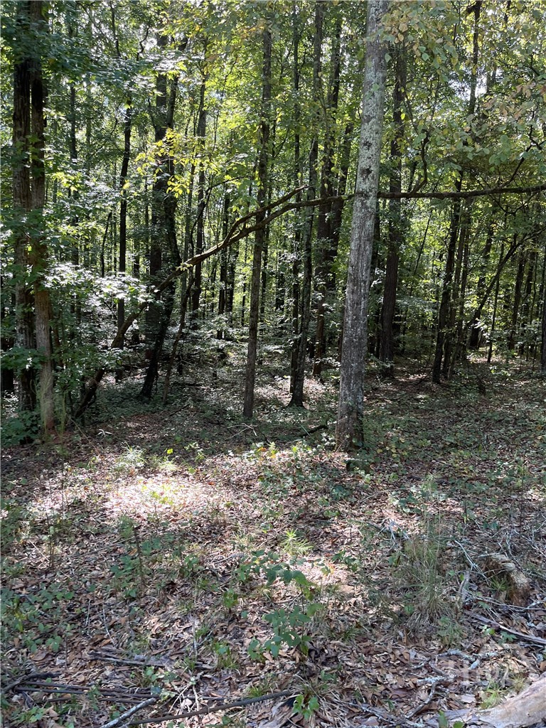 46 Creek Ridge Property Photo 5