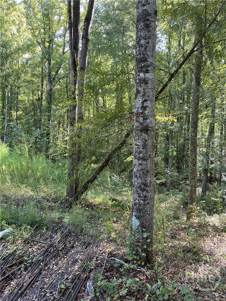 46 Creek Ridge Property Photo 8