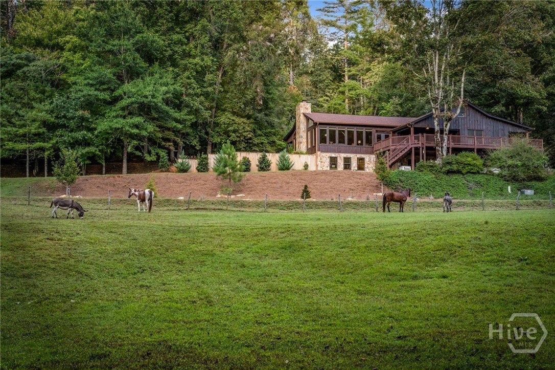 361 Forest Service Road Property Photo 45