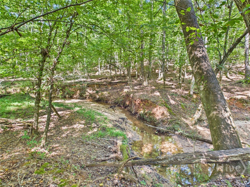 1251 Summit Circle Property Photo 46