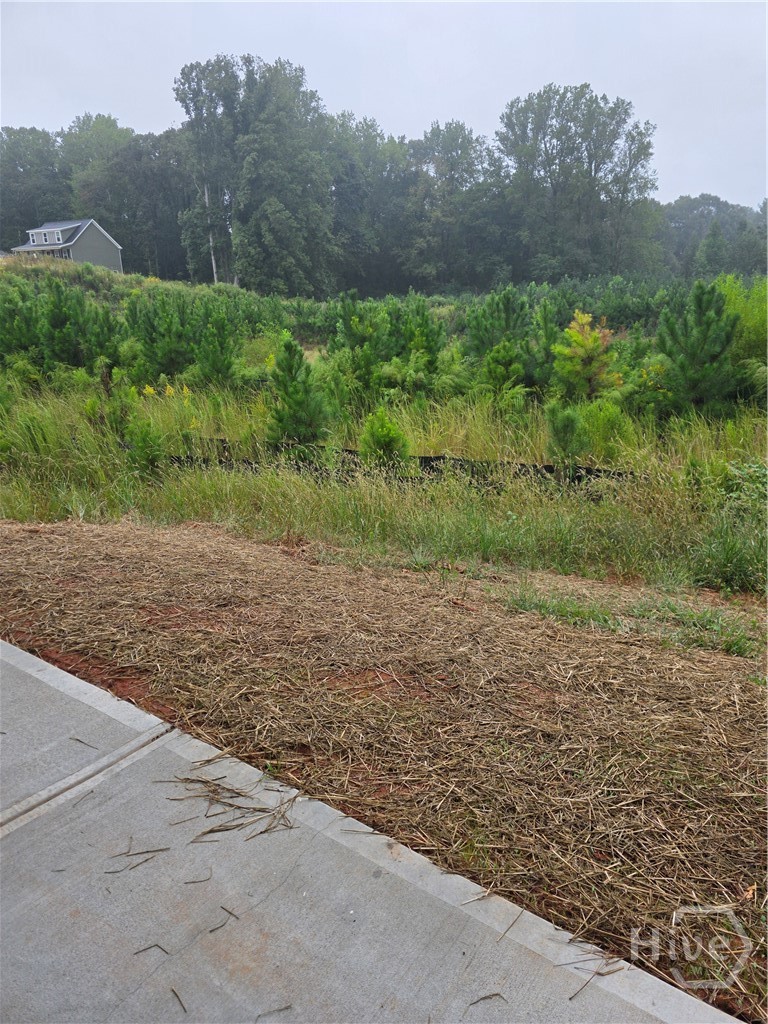 60 Charlotte Drive Property Photo 19
