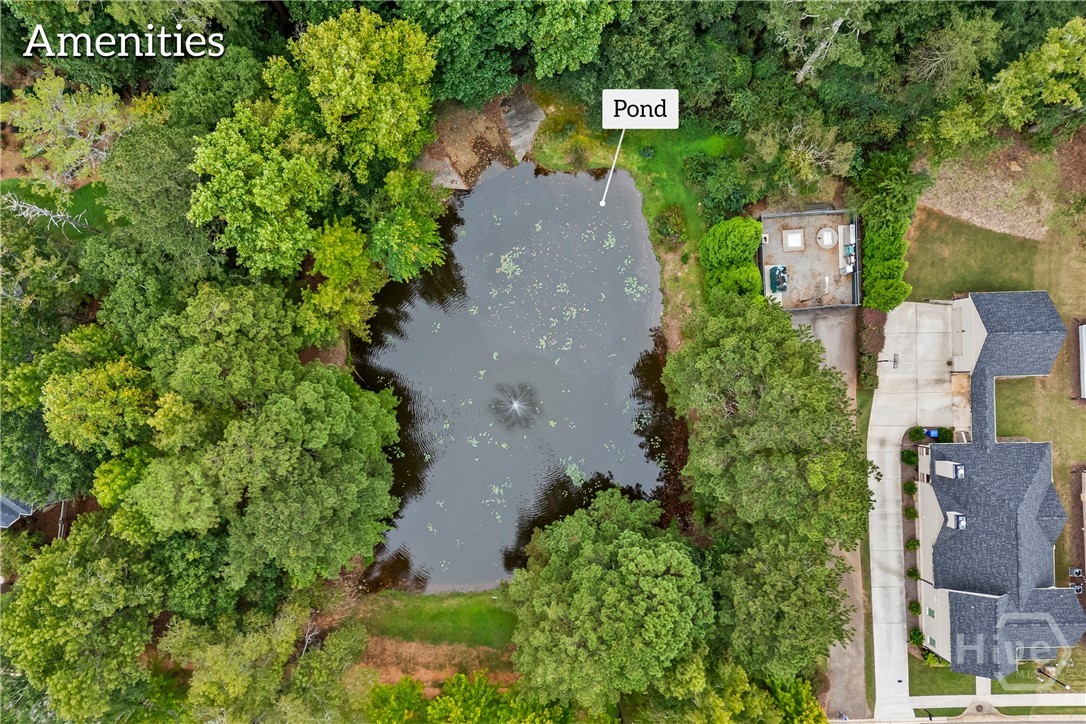 1051 Copperville Drive Property Photo 71