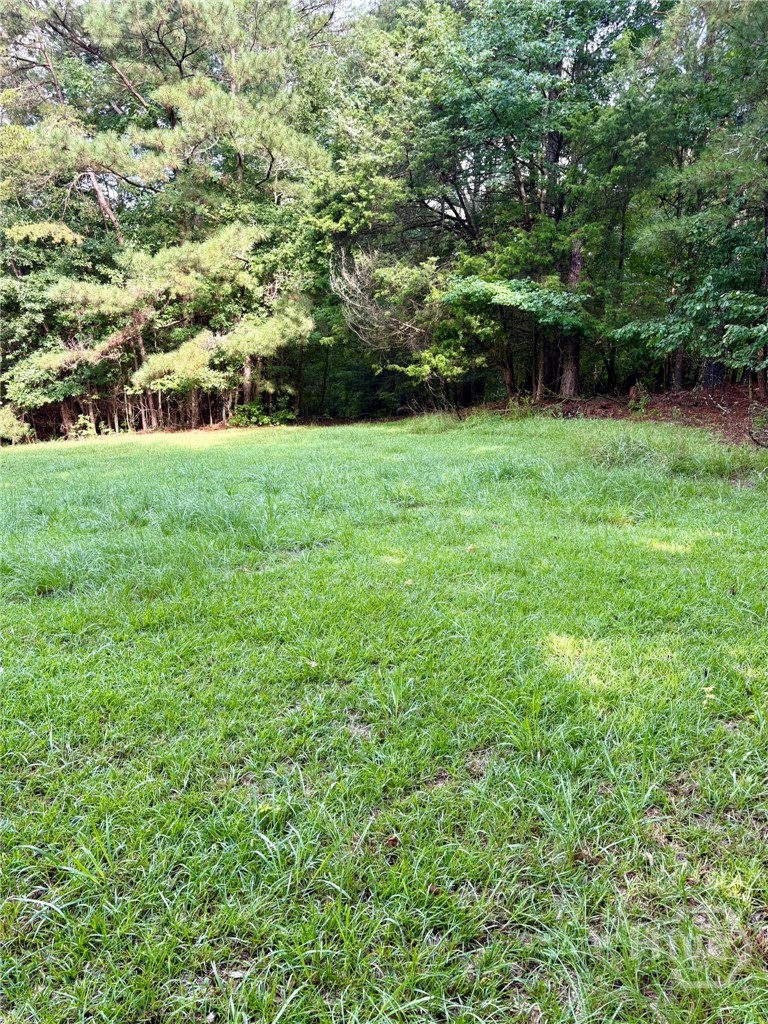 0 Macon Highway Property Photo 1