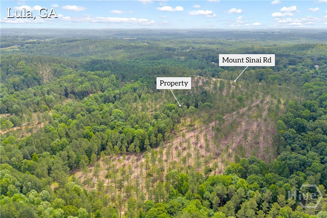 0 Mt. Sinai Lot 8 Property Photo 6