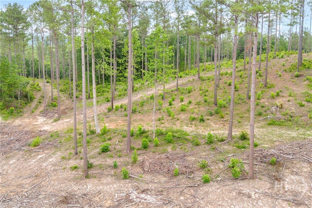 0 Mt. Sinai Lot 8 Property Photo 21