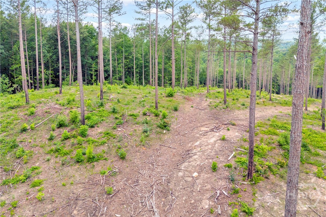 0 Mt. Sinai Lot 8 Property Photo 25