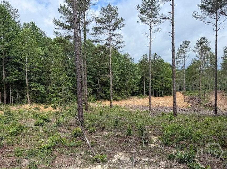0 Mt. Sinai Lot 8 Property Photo 51