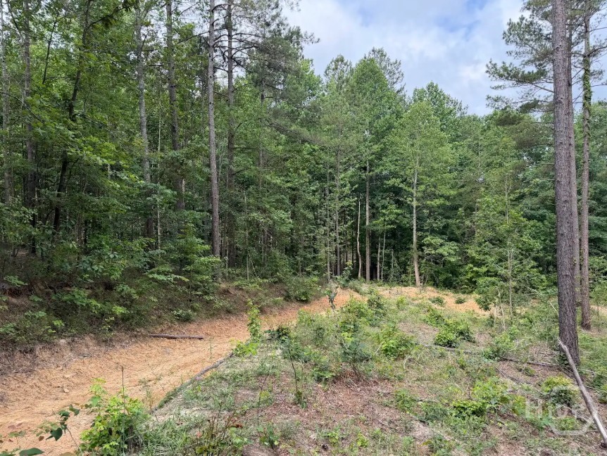 0 Mt. Sinai Lot 8 Property Photo 52