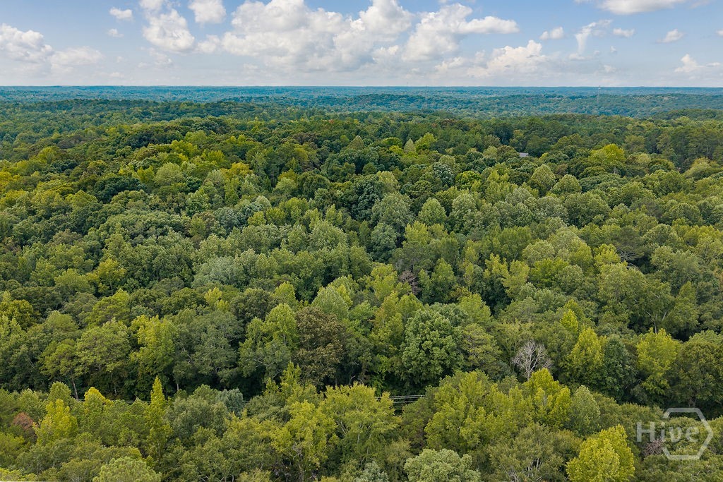 100 Red Fox Run Property Photo 7