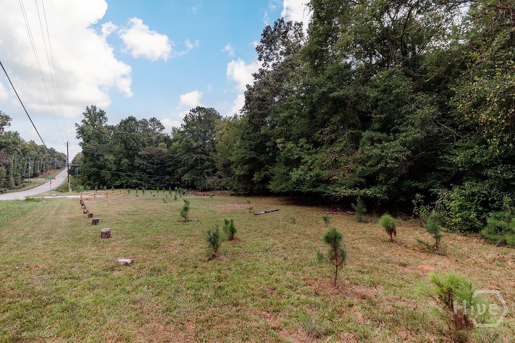 100 Red Fox Run Property Photo 10