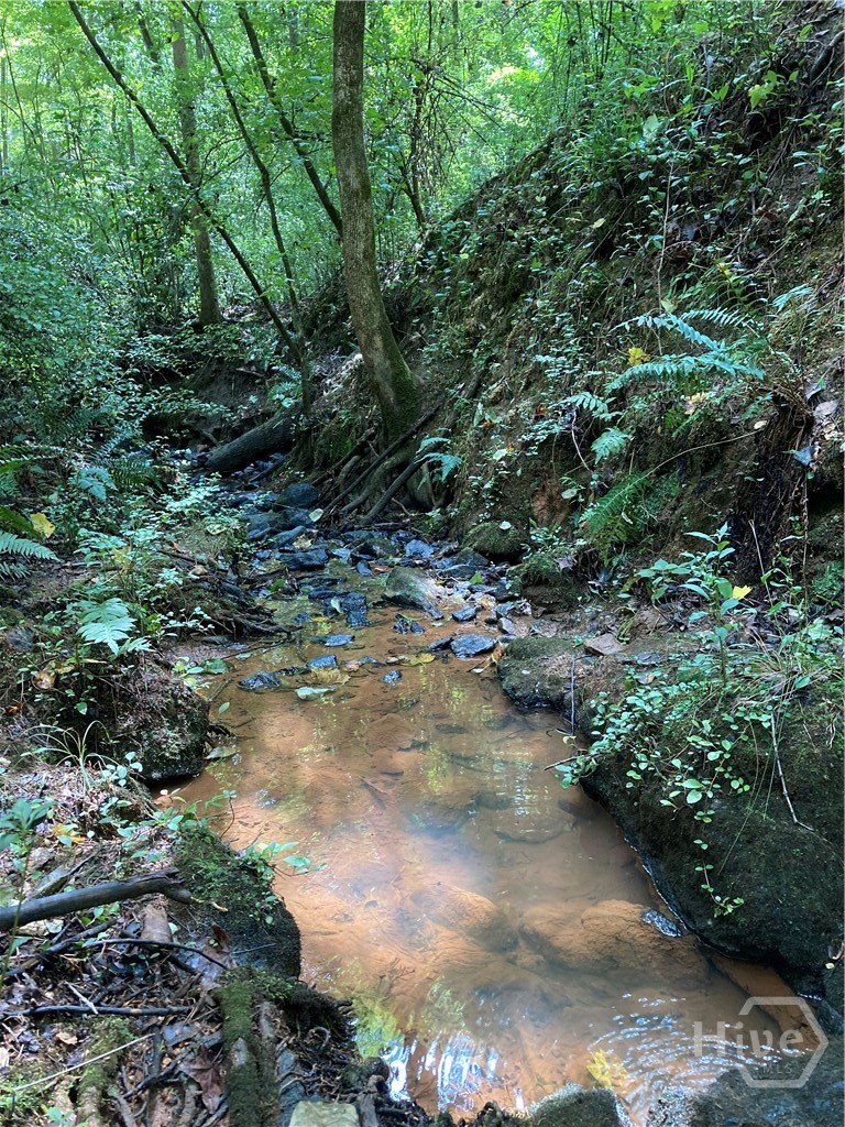 100 Red Fox Run Property Photo 12