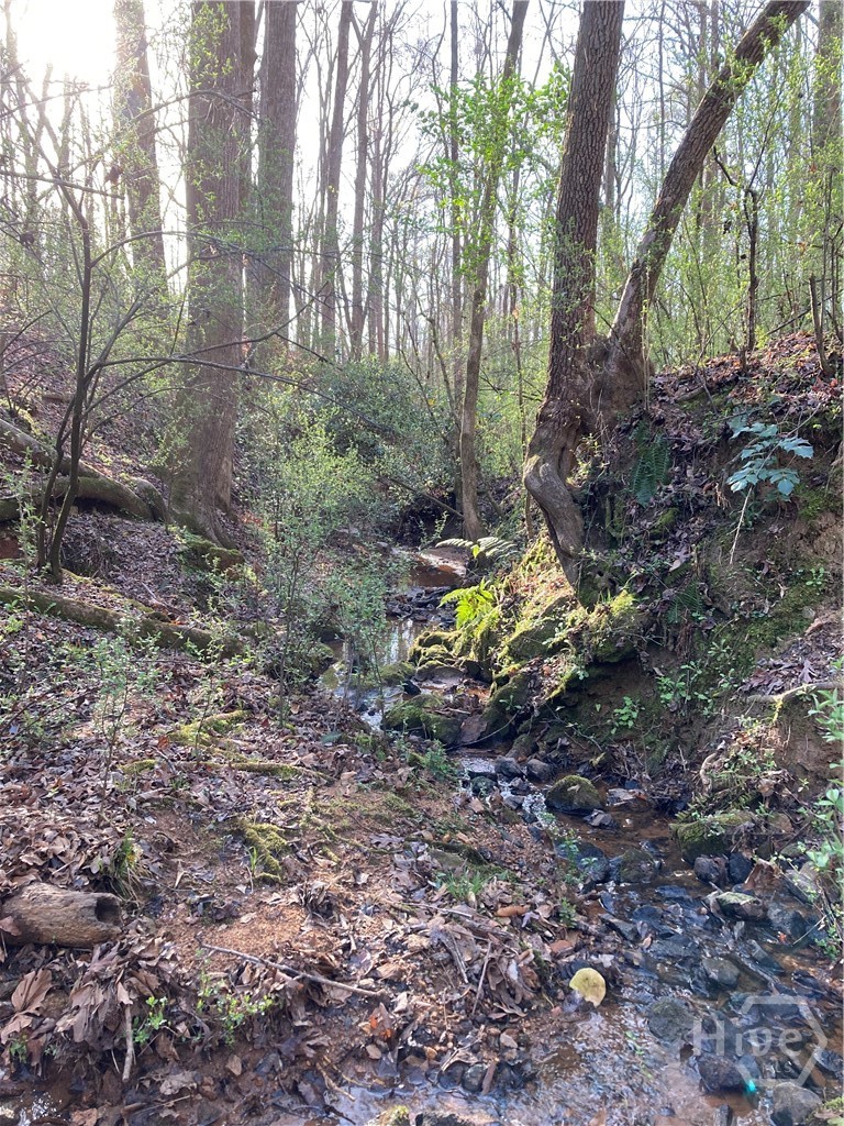 100 Red Fox Run Property Photo 13