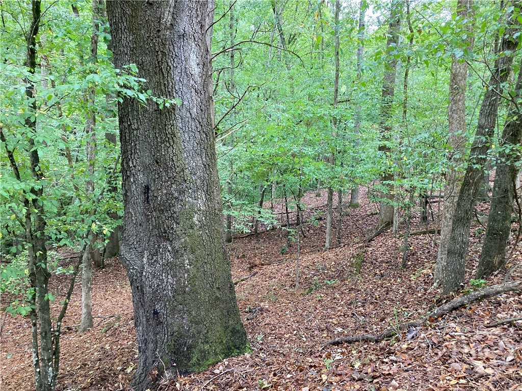 100 Red Fox Run Property Photo 14