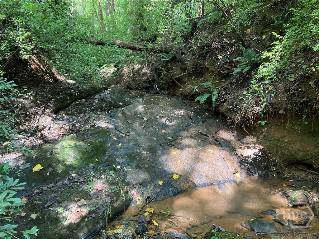 100 Red Fox Run Property Photo 15