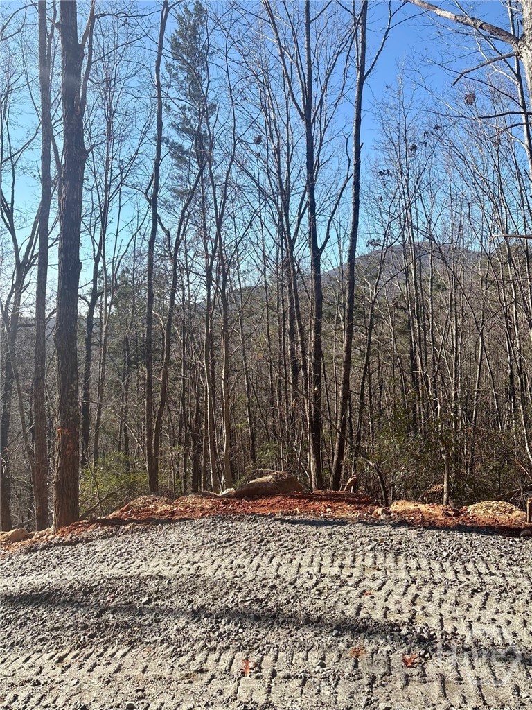 28 B Sal Mountain Way Property Photo 1