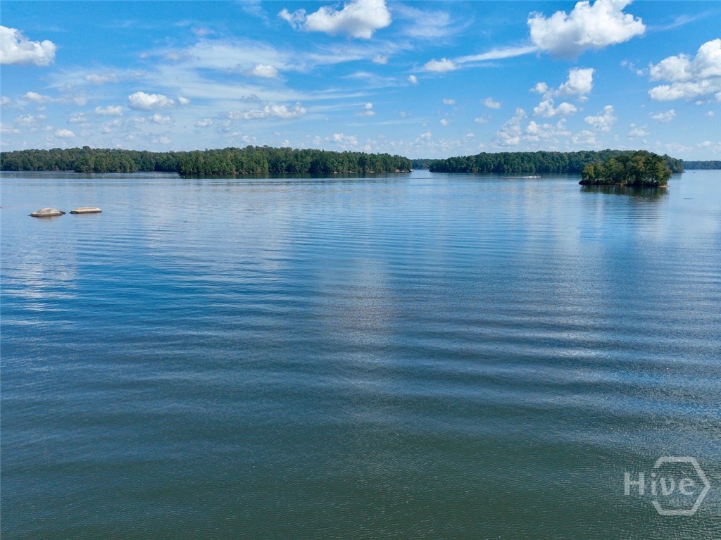 415 Long Shoals Drive Property Photo 10