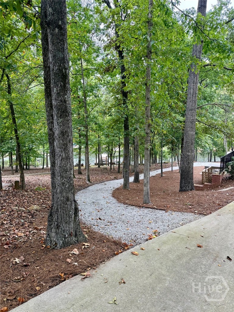 415 Long Shoals Drive Property Photo 65