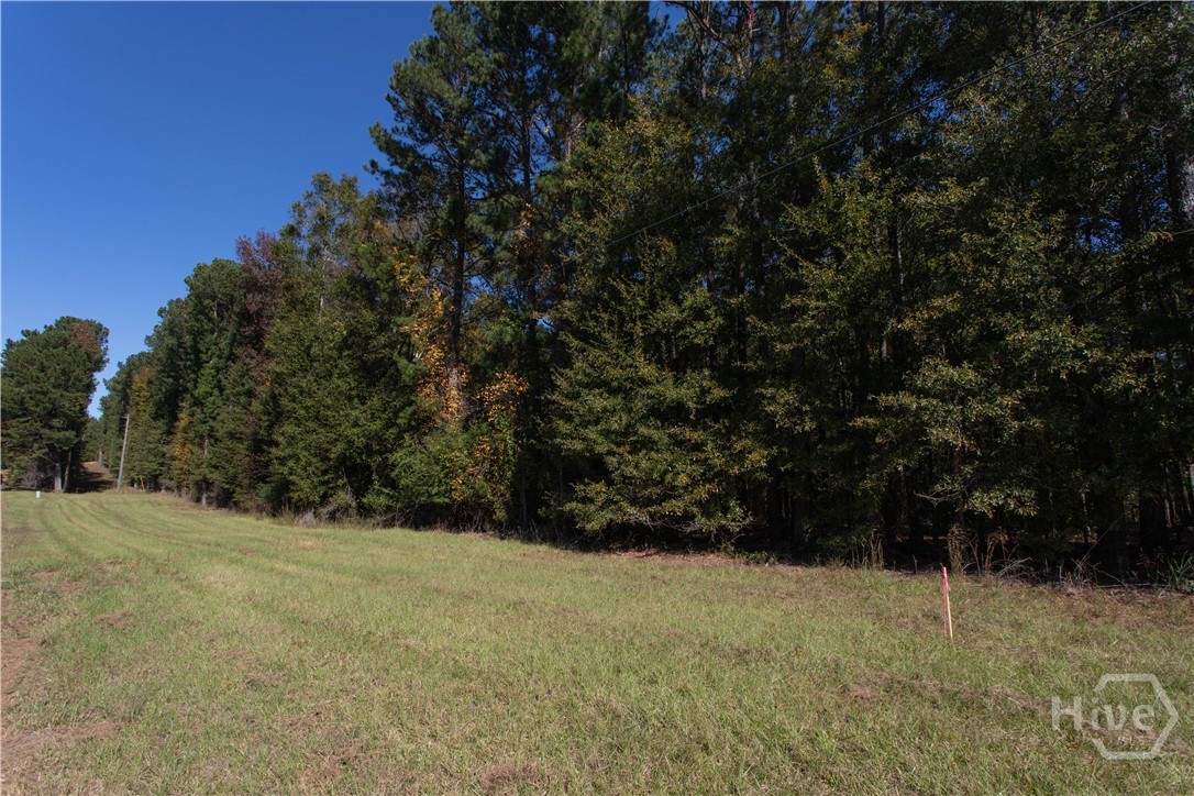 3171 Salem Road Property Photo 6