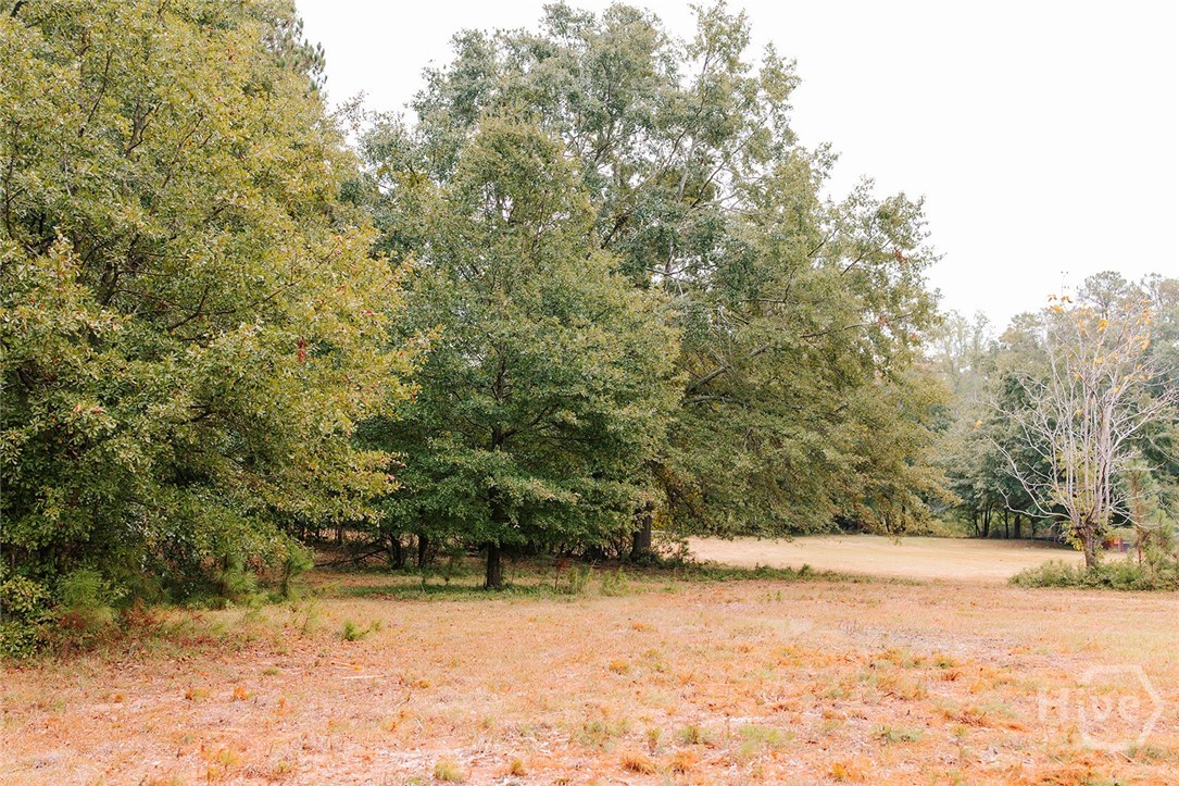 1901 Hog Mountain Road Property Photo 6