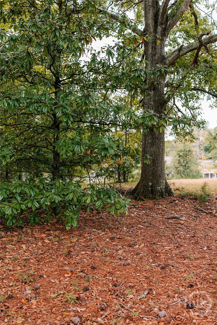 1901 Hog Mountain Road Property Photo 10