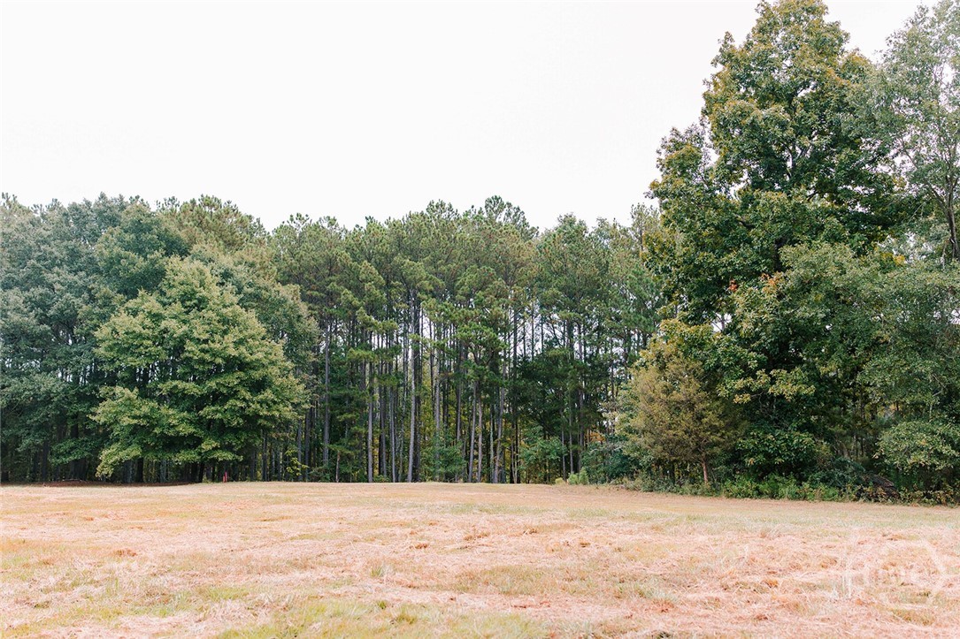 1911 Hog Mountain Road Property Photo 1