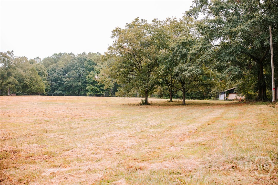 1911 Hog Mountain Road Property Photo 6