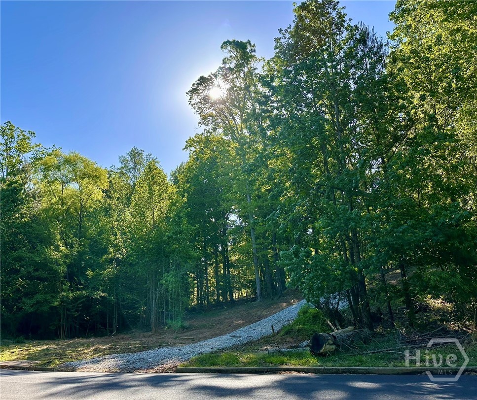 564 Bear Creek Lane Property Photo 4