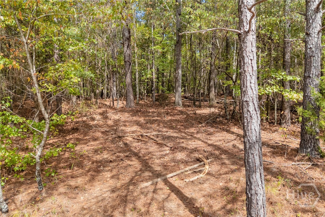 0 Kincaid Cemetery Road Property Photo 5