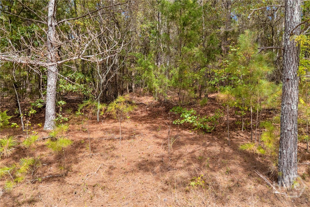 0 Kincaid Cemetery Road Property Photo 38