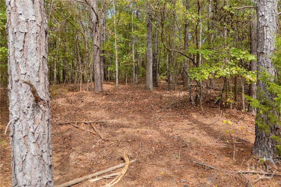0 Kincaid Cemetery Road Property Photo 39