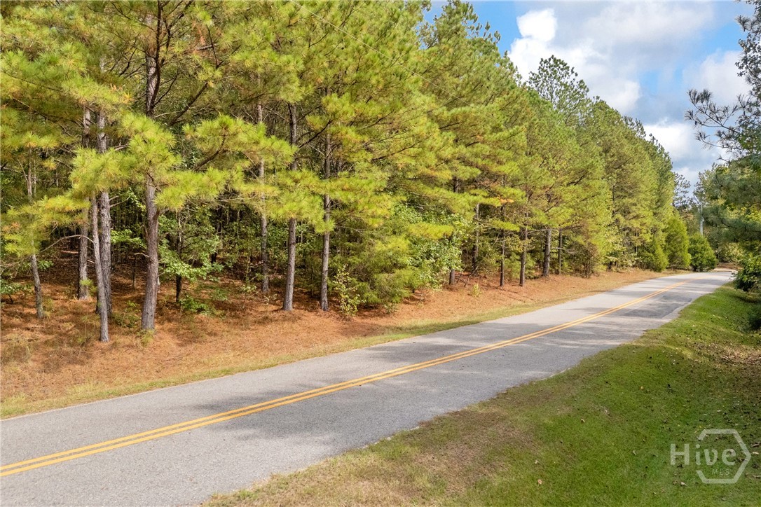 0 Kincaid Cemetery Road Property Photo 40