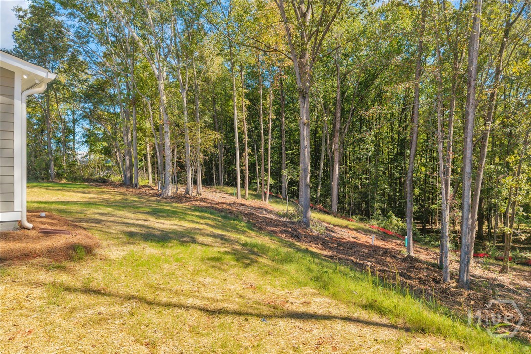 600 Hospital Road Lot 3 Property Photo 61