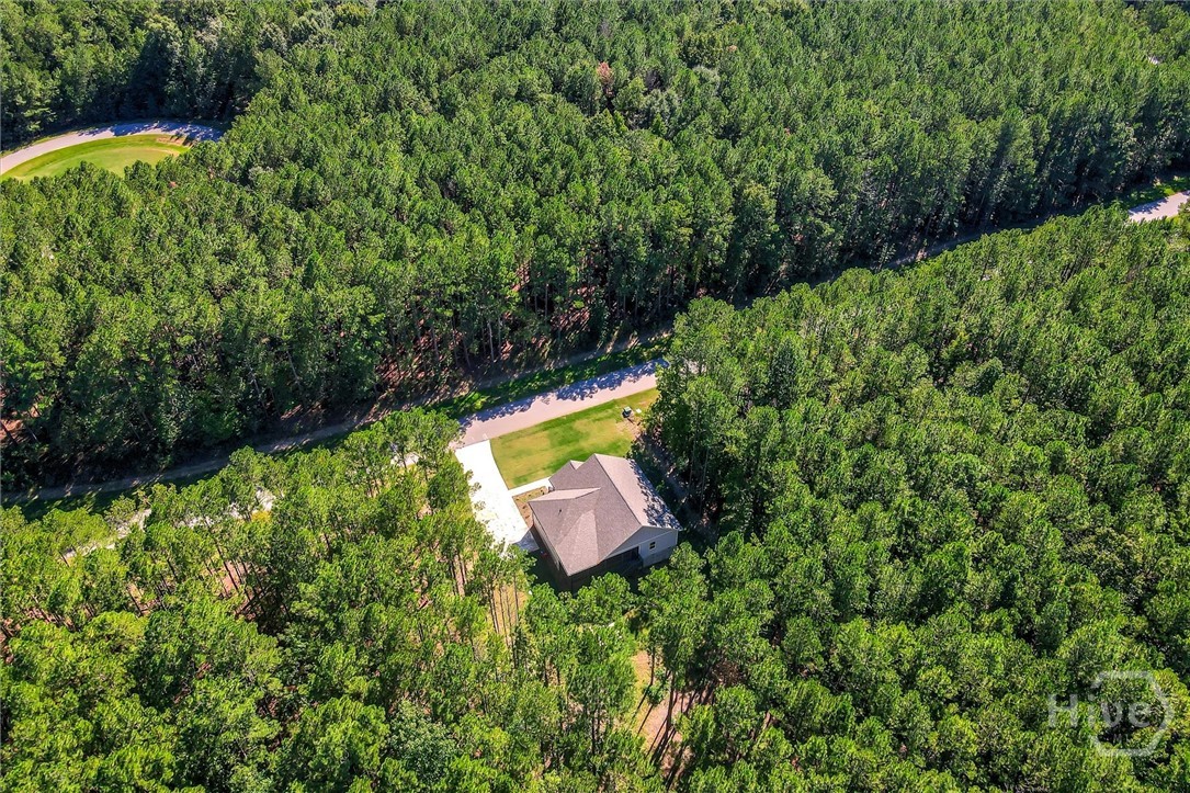 1165 Watersedge Cove Property Photo 47