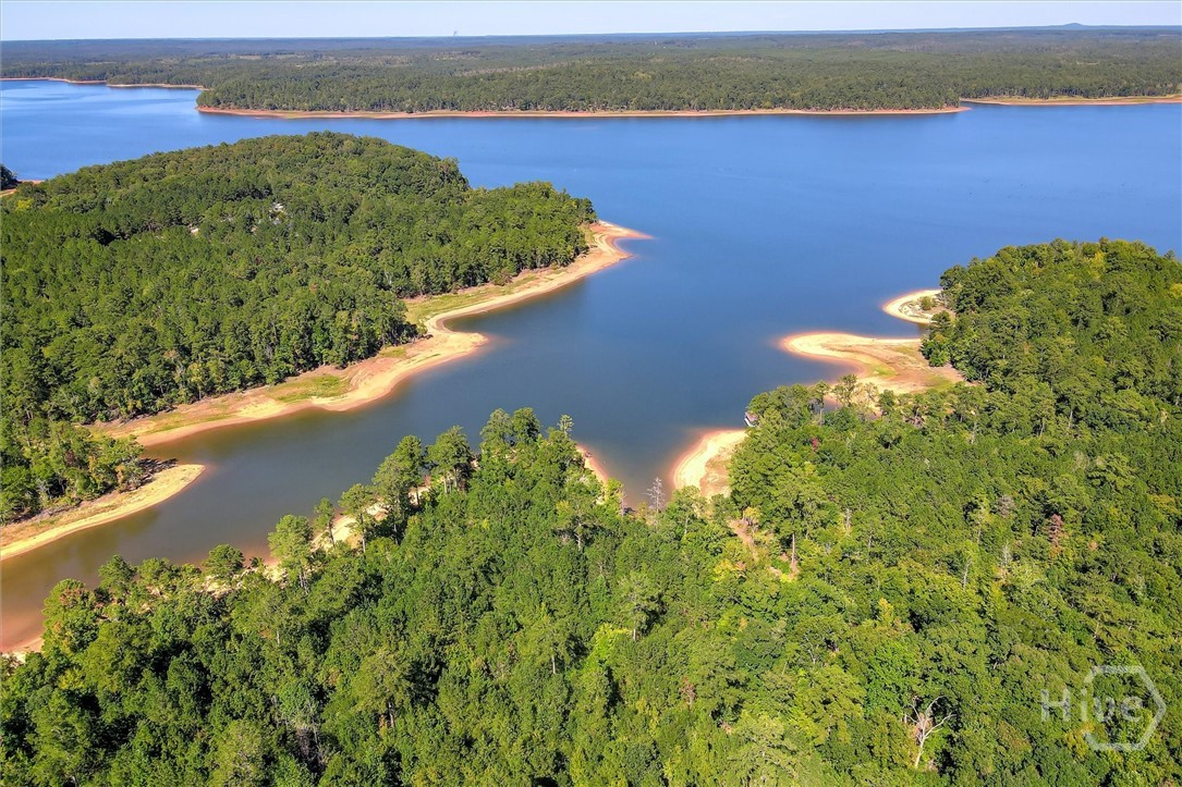 1165 Watersedge Cove Property Photo 49