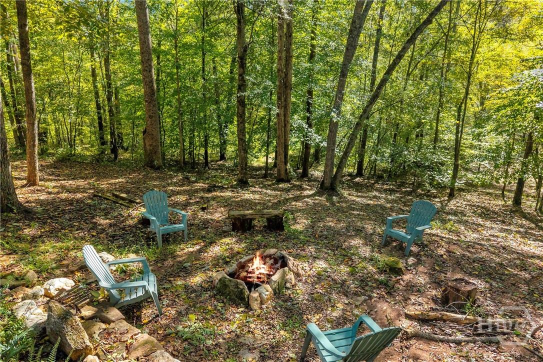 399 Grindstone Creek Dr Property Photo 63