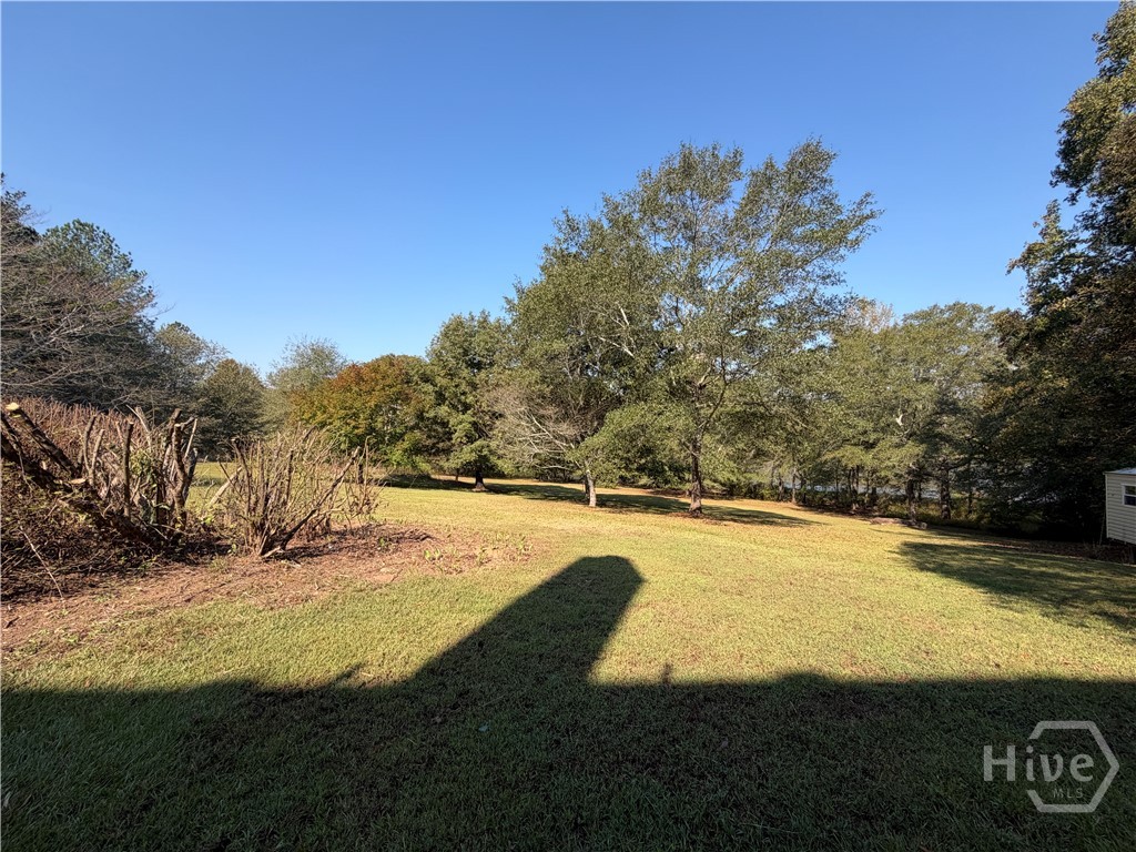 1215 Brush Creek Road Property Photo 57