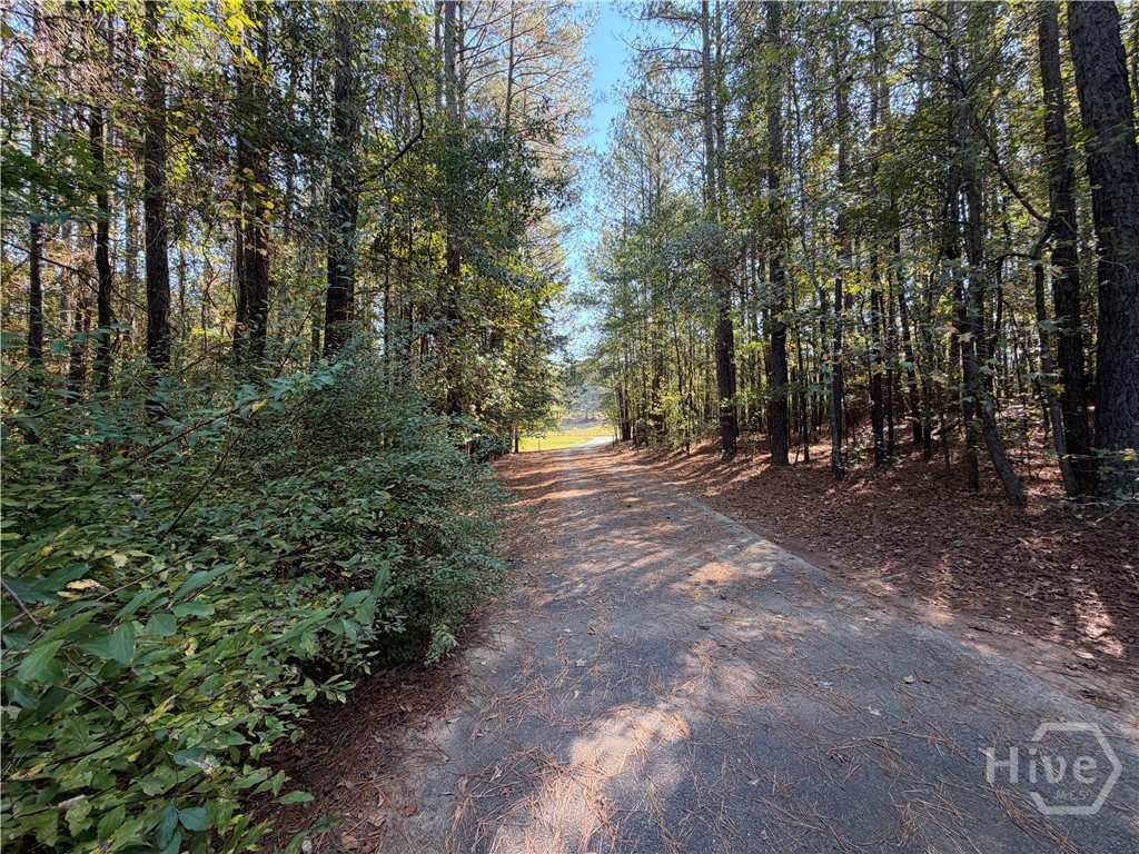 1215 Brush Creek Road Property Photo 60