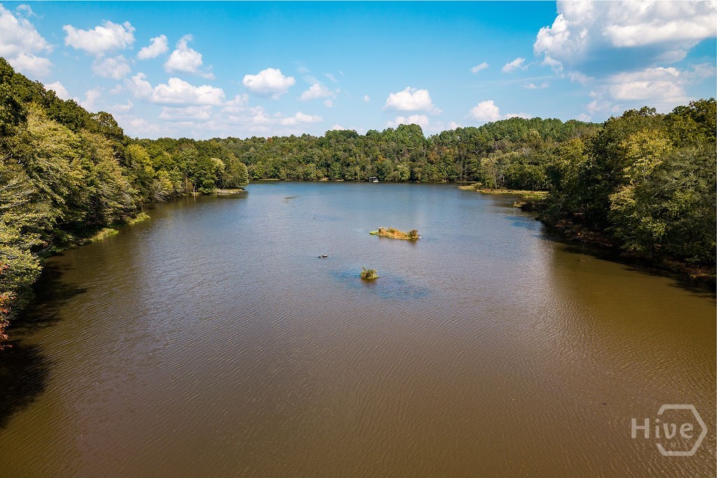 1215 Brush Creek Road Property Photo 64