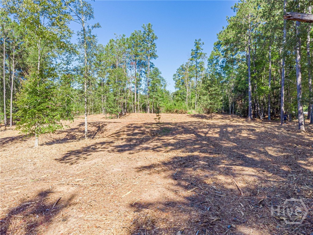 3310 Etchison Road Property Photo 3