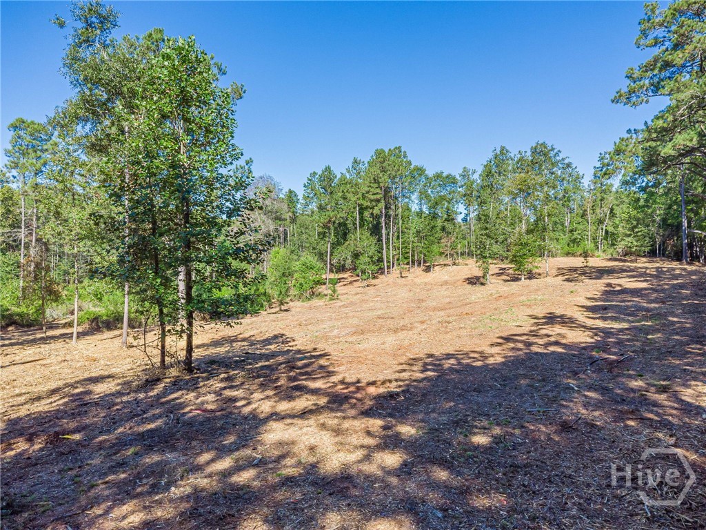 3310 Etchison Road Property Photo 4