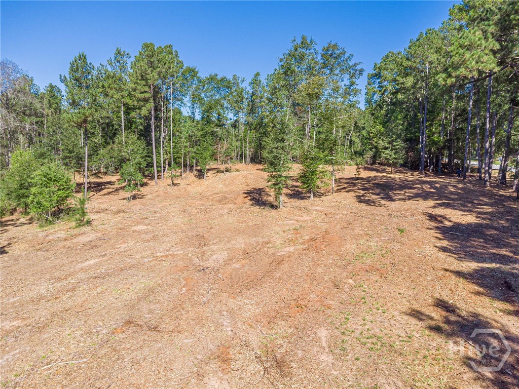 3310 Etchison Road Property Photo 5