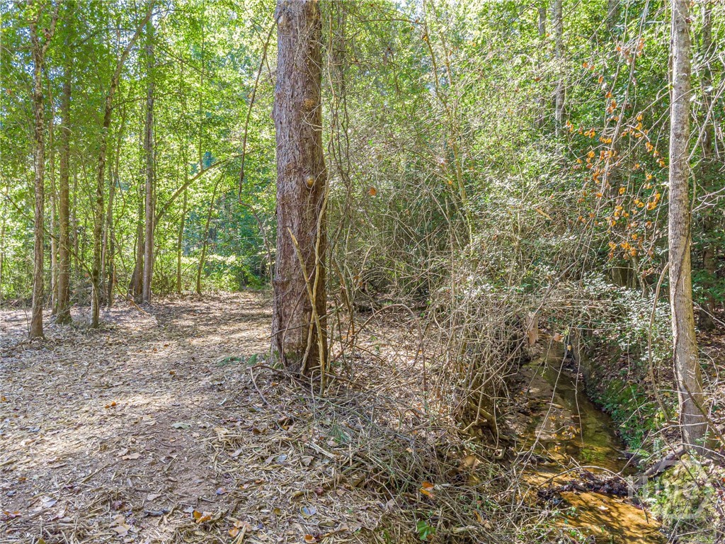 3310 Etchison Road Property Photo 6