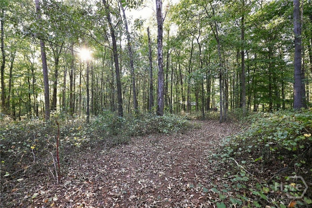 3453 Bowman Highway Property Photo 67