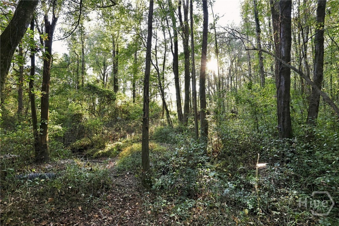 3453 Bowman Highway Property Photo 68