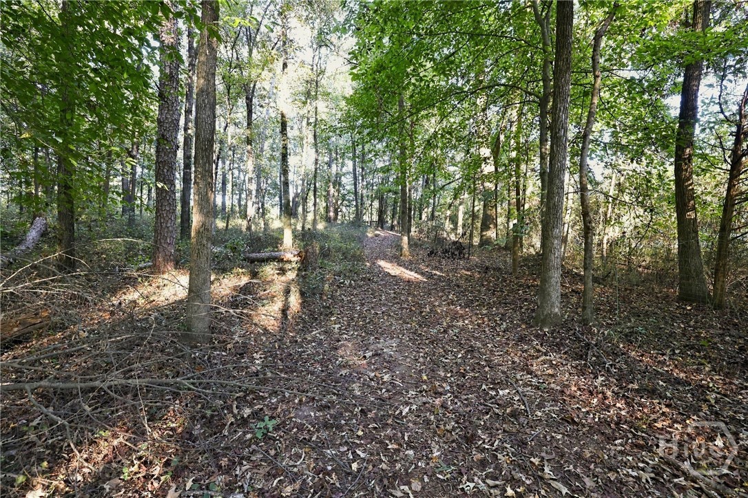 3453 Bowman Highway Property Photo 69