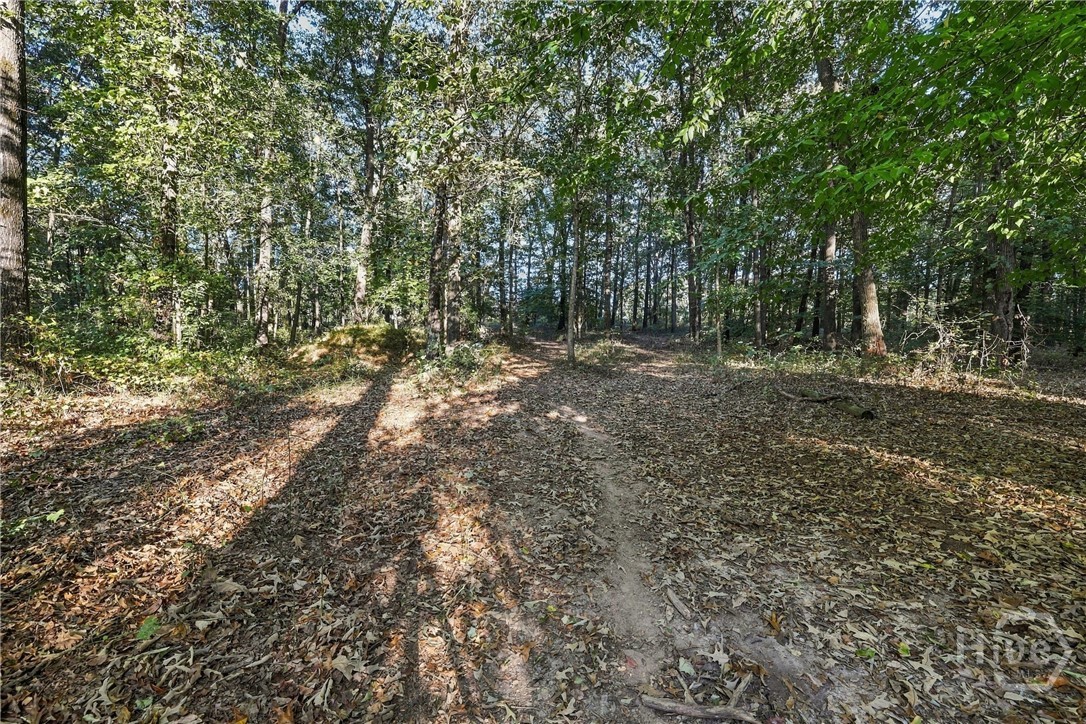 3453 Bowman Highway Property Photo 70