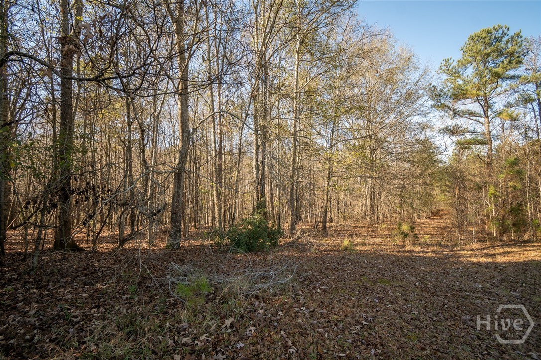 0 Lavista Road Property Photo 1