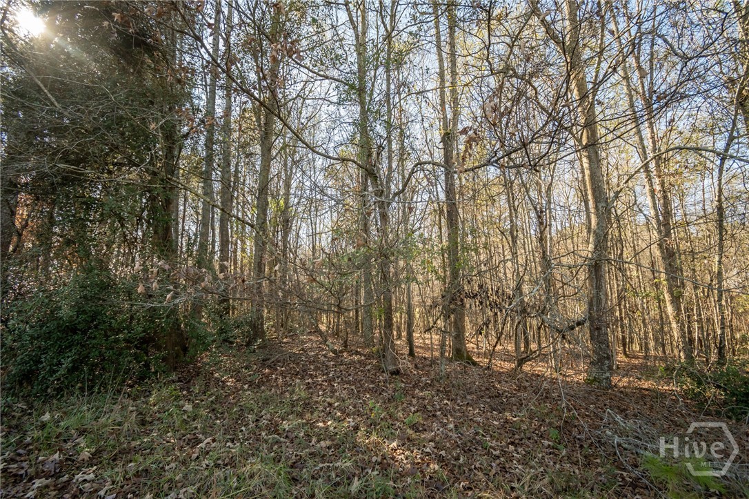 0 Lavista Road Property Photo 2