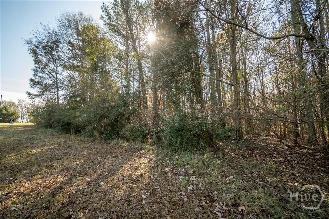 0 Lavista Road Property Photo 3